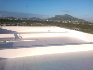 IMG_20160511_072047_1